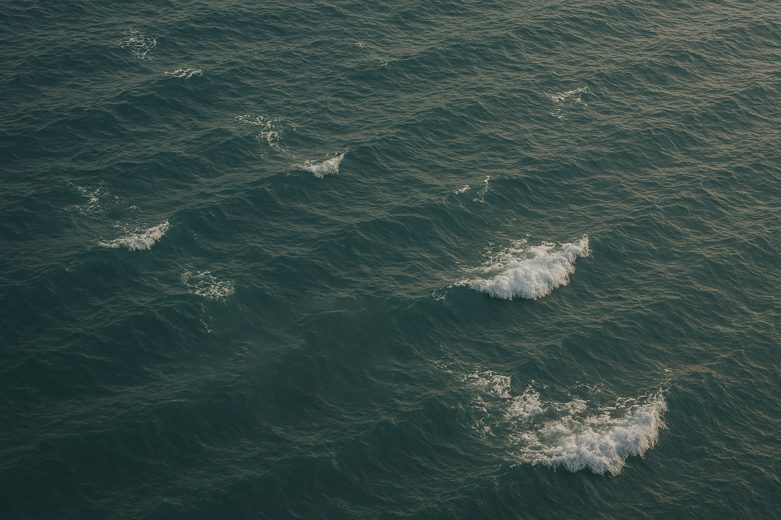 Mediterranean waves, the inspiration behind Eligenda Roma