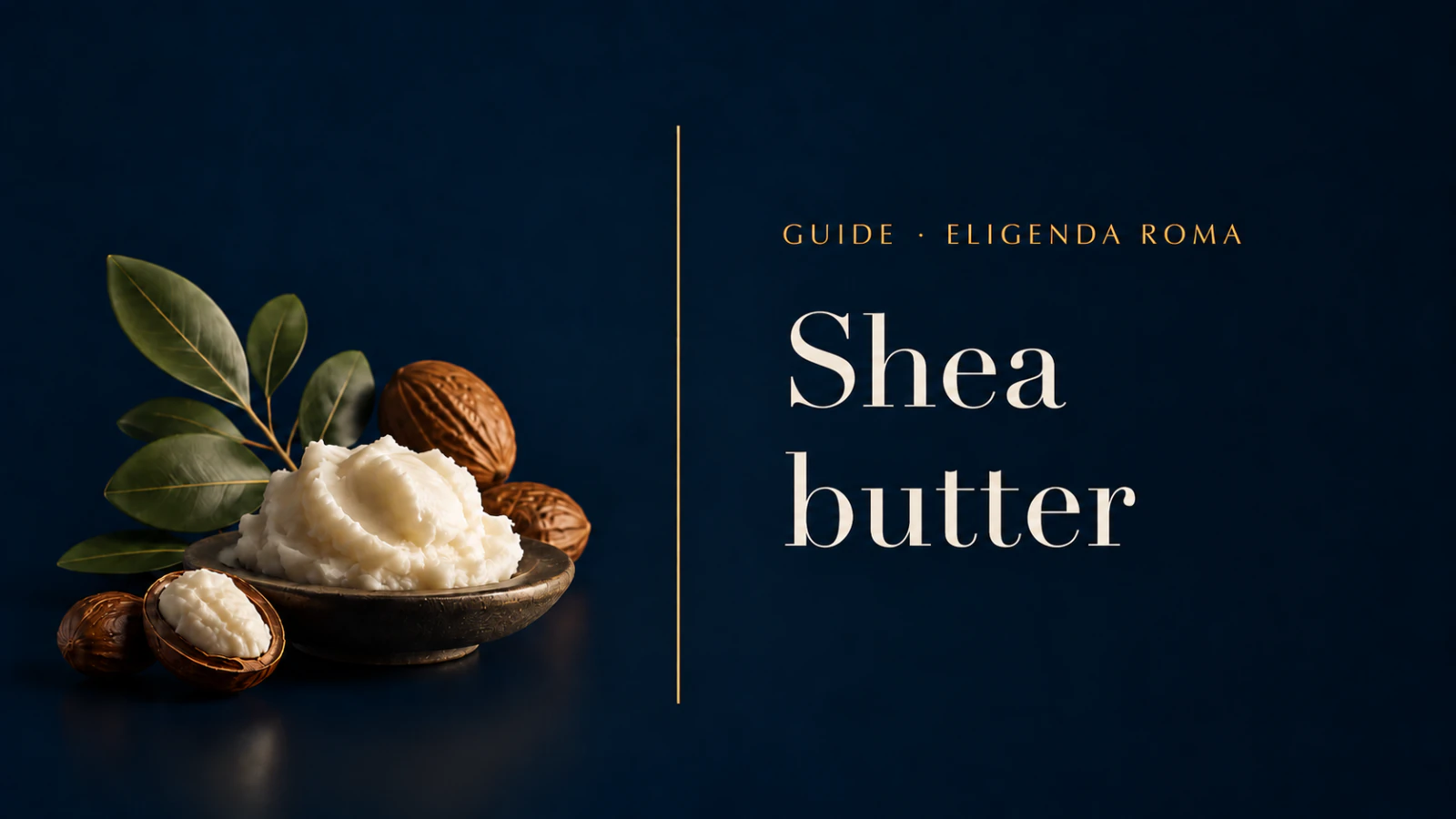 Shea butter, with shea nuts, leaves and a bowl of butter.