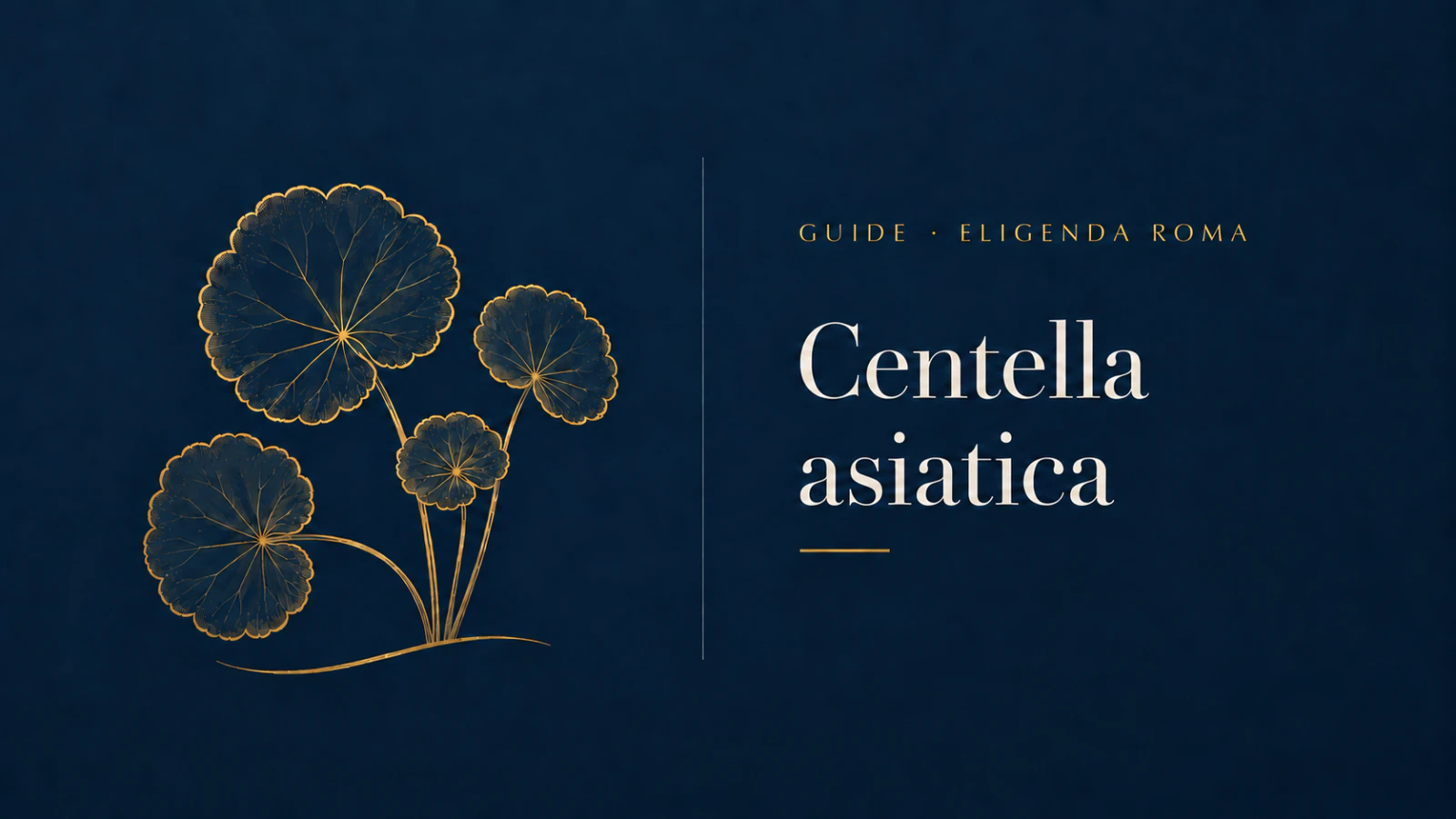 Centella asiatica, with a gold botanical leaf illustration.