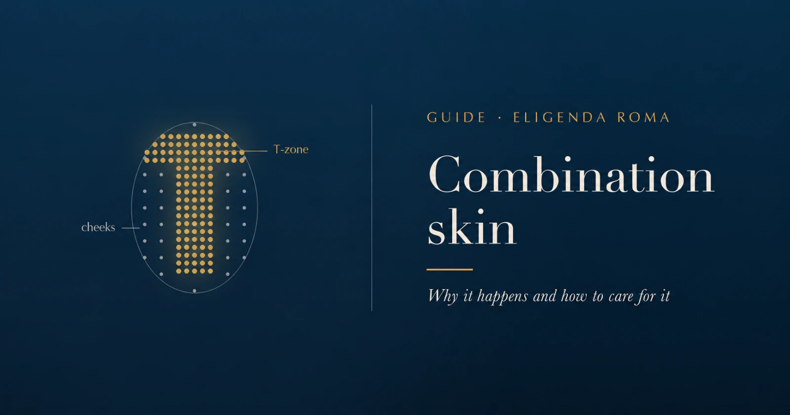 Combination skin, with the T-zone and cheeks identified on a face diagram.