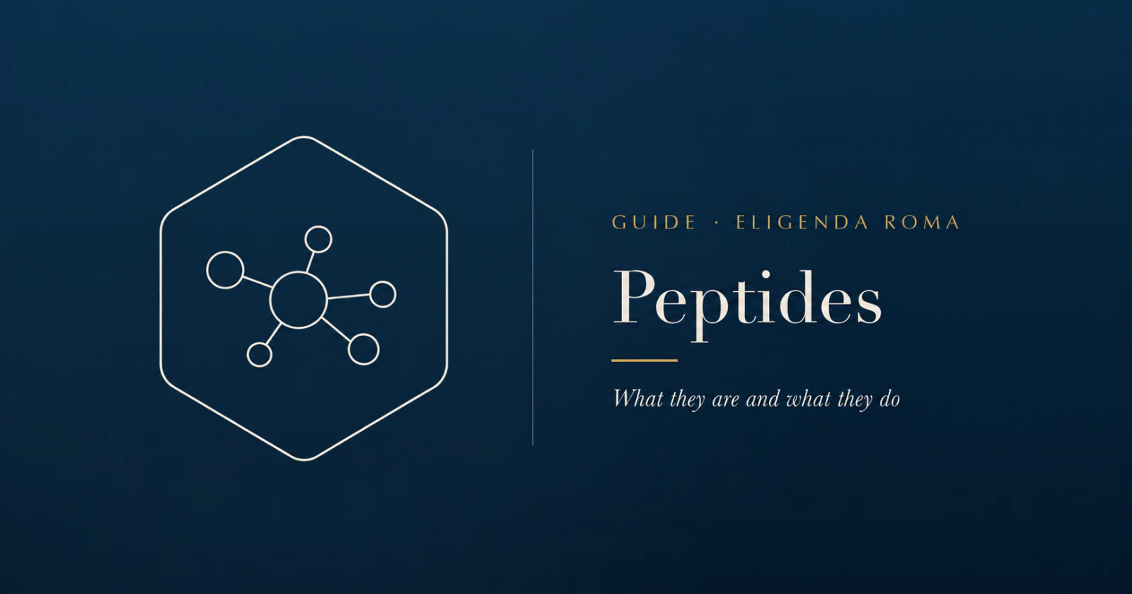 Peptides: what they are and what they do, with a molecular illustration.