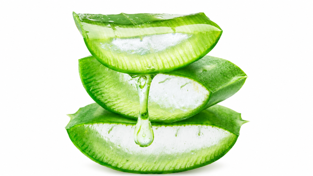 Tre fette di foglia di aloe vera tagliate e sovrapposte, con il gel trasparente all'interno e una goccia che scende