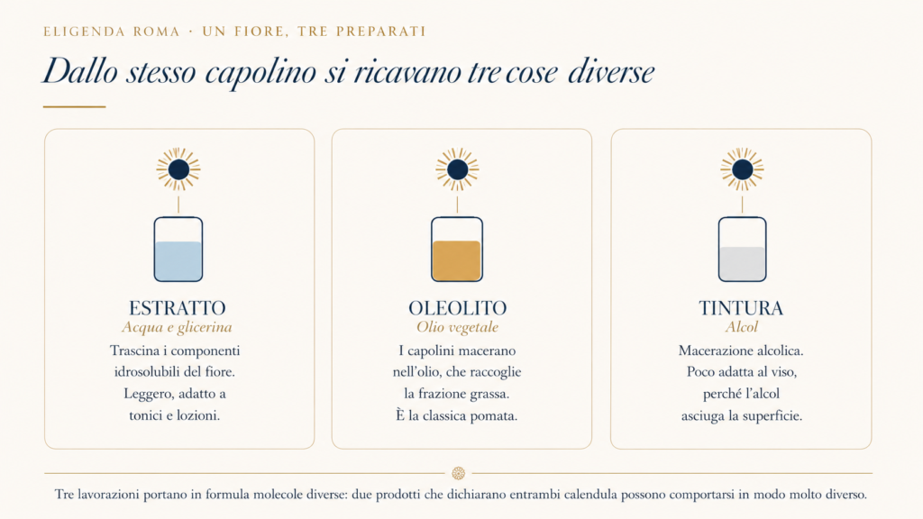 Dallo stesso capolino di calendula si ricavano tre preparati diversi: l'estratto in acqua e glicerina, leggero e adatto ai tonici; l'oleolito, macerato in olio vegetale, che è la classica pomata; e la tintura in alcol, poco adatta al viso