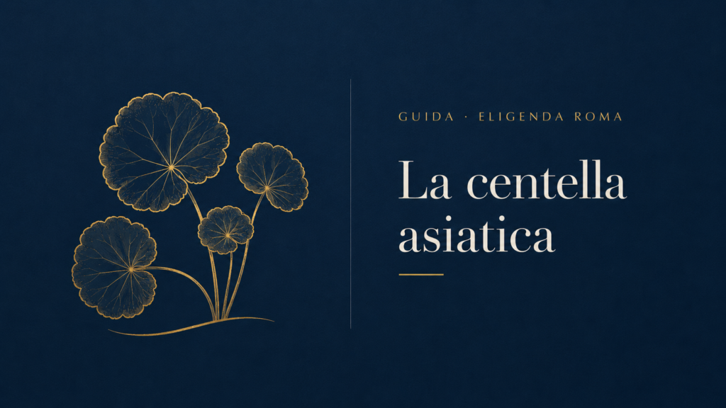 Testata dell'articolo: quattro foglie tonde di centella asiatica disegnate in filo d'oro su fondo blu notte, con l'incisura alla base, le nervature a raggiera e i piccioli curvi, accanto al titolo La centella asiatica