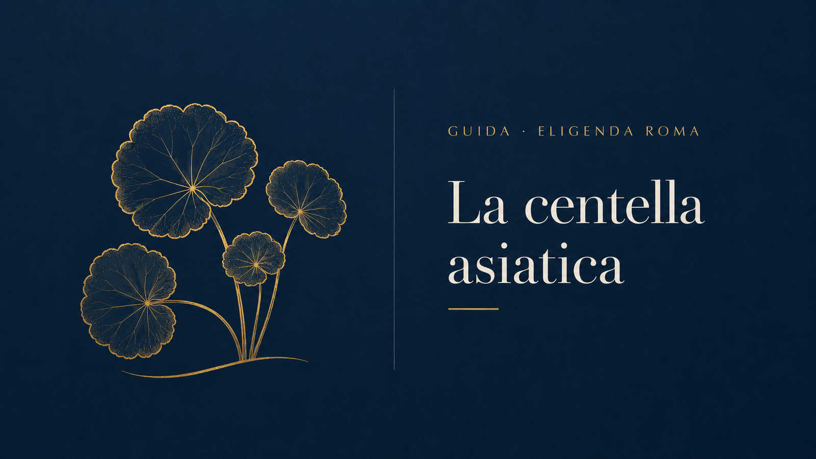 Testata dell'articolo: quattro foglie tonde di centella asiatica disegnate in filo d'oro su fondo blu notte, con l'incisura alla base, le nervature a raggiera e i piccioli curvi, accanto al titolo La centella asiatica