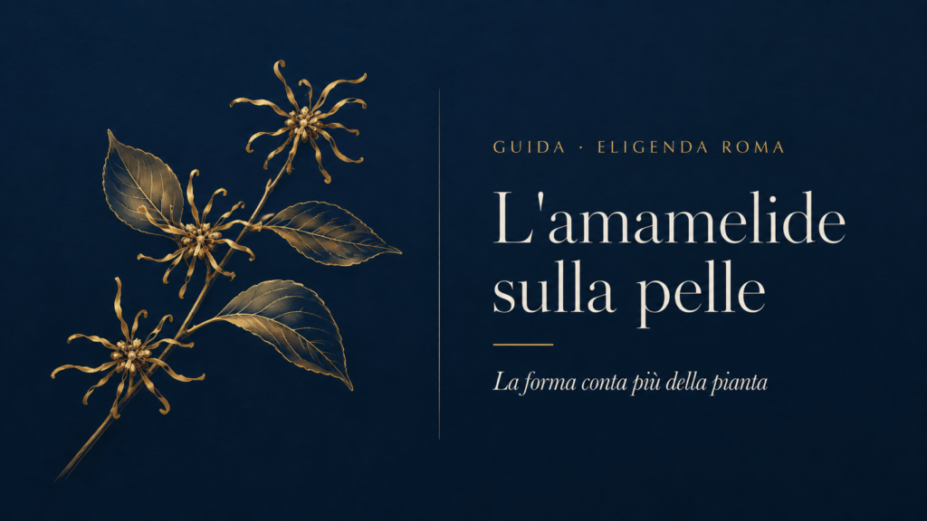 Un ramo di amamelide disegnato in oro su fondo blu: tre fiori con i quattro petali sottili a nastro tipici di Hamamelis virginiana, accanto alle foglie ovali dalla nervatura marcata