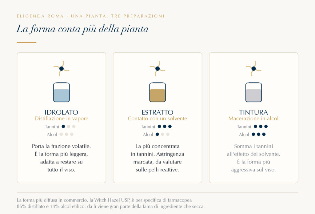 Le tre preparazioni dell'amamelide a confronto: l'idrolato ottenuto per distillazione in vapore, povero di tannini e senza alcol; l'estratto, il più concentrato in tannini; e la tintura, macerata in alcol, la forma più aggressiva sul viso